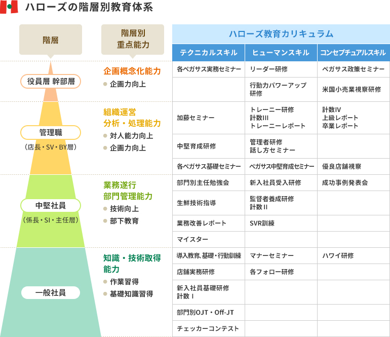 ハローズの階層別教育体系